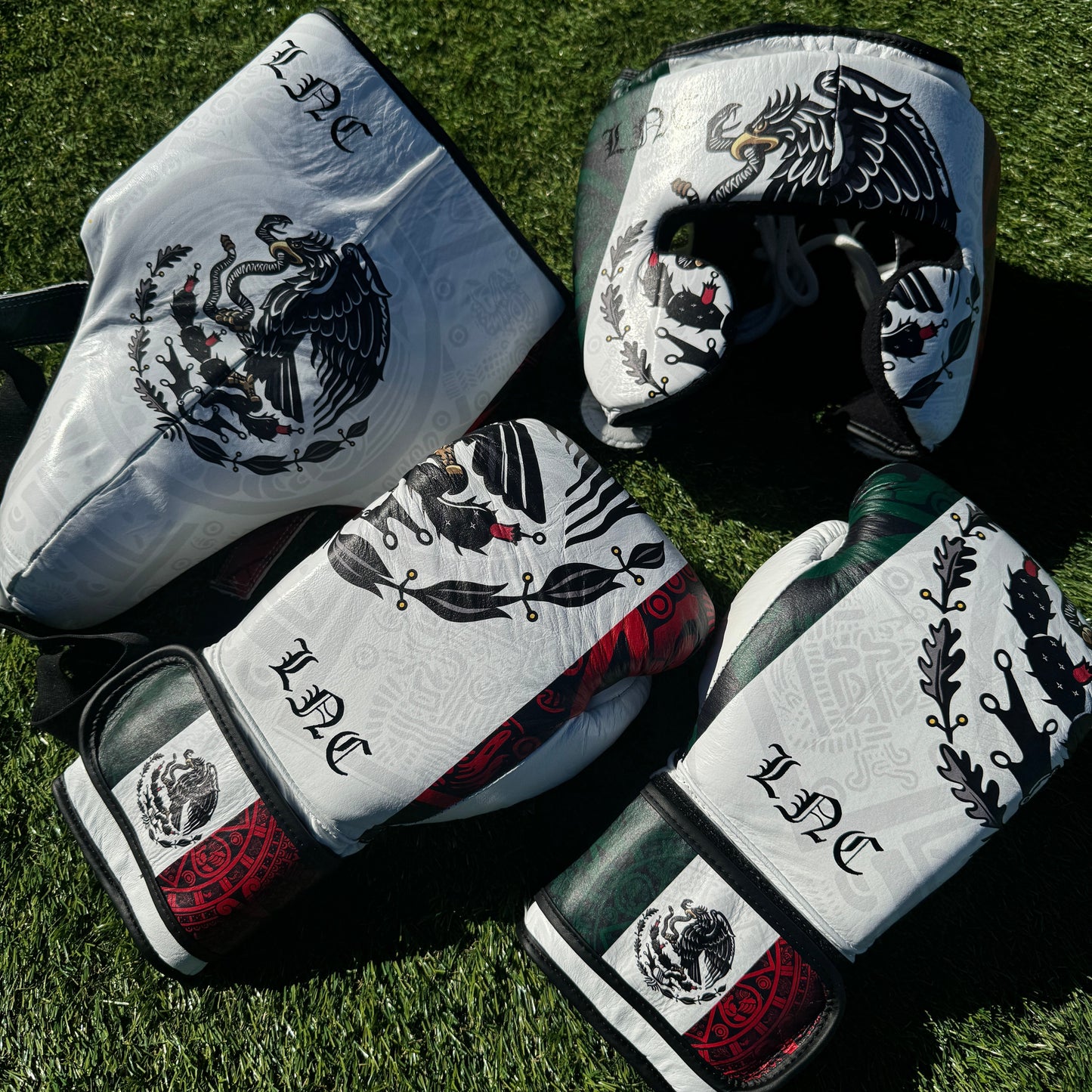 SPECIAL EDITION CUSTOM MEXICO | BOXING SPARRING SET | 100% LEATHER l