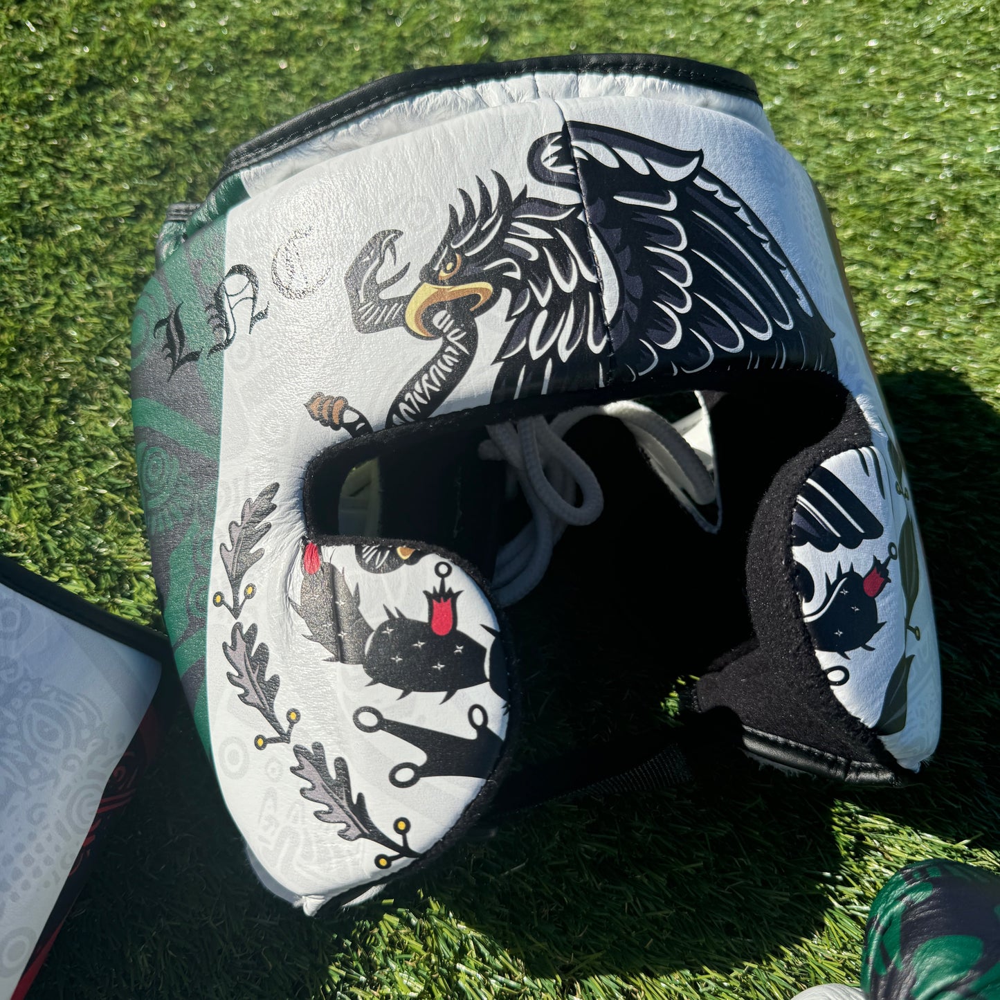 SPECIAL EDITION CUSTOM MEXICO | BOXING SPARRING SET | 100% LEATHER l