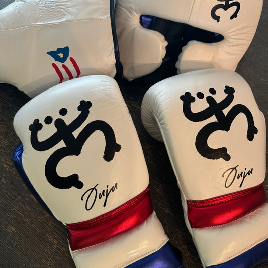 PUERTO RICO PRIDE | BOXING GLOVES & SPARRING SET | 100% LEATHER