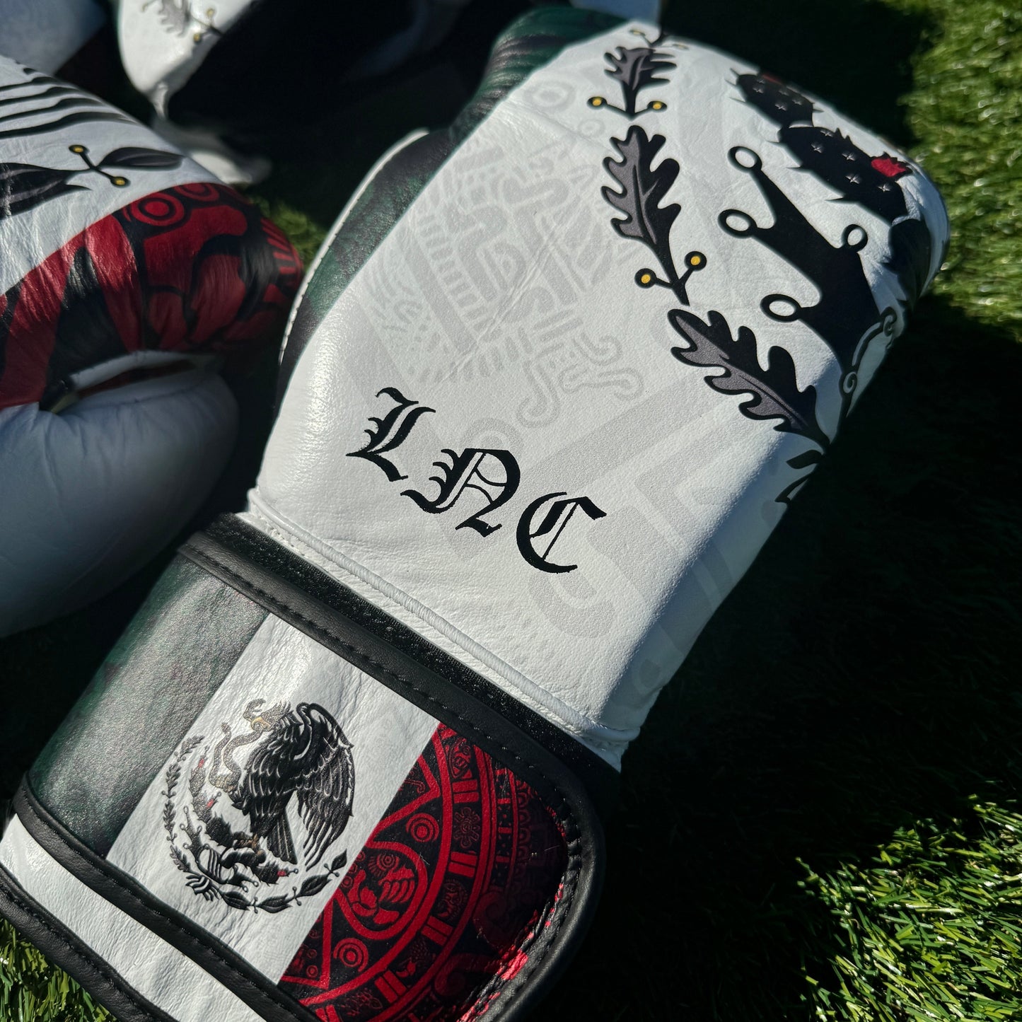 SPECIAL EDITION CUSTOM MEXICO | BOXING SPARRING SET | 100% LEATHER l