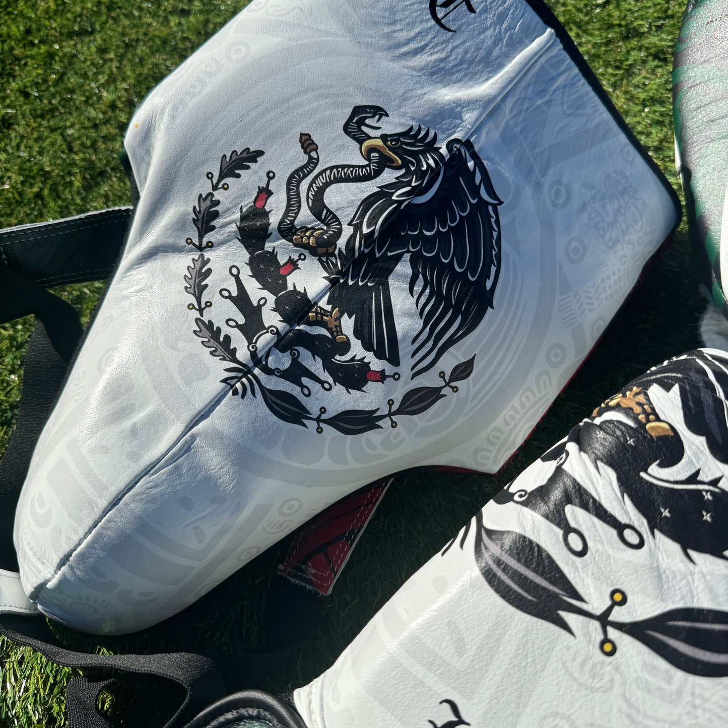 SPECIAL EDITION CUSTOM MEXICO | BOXING SPARRING SET | 100% LEATHER l