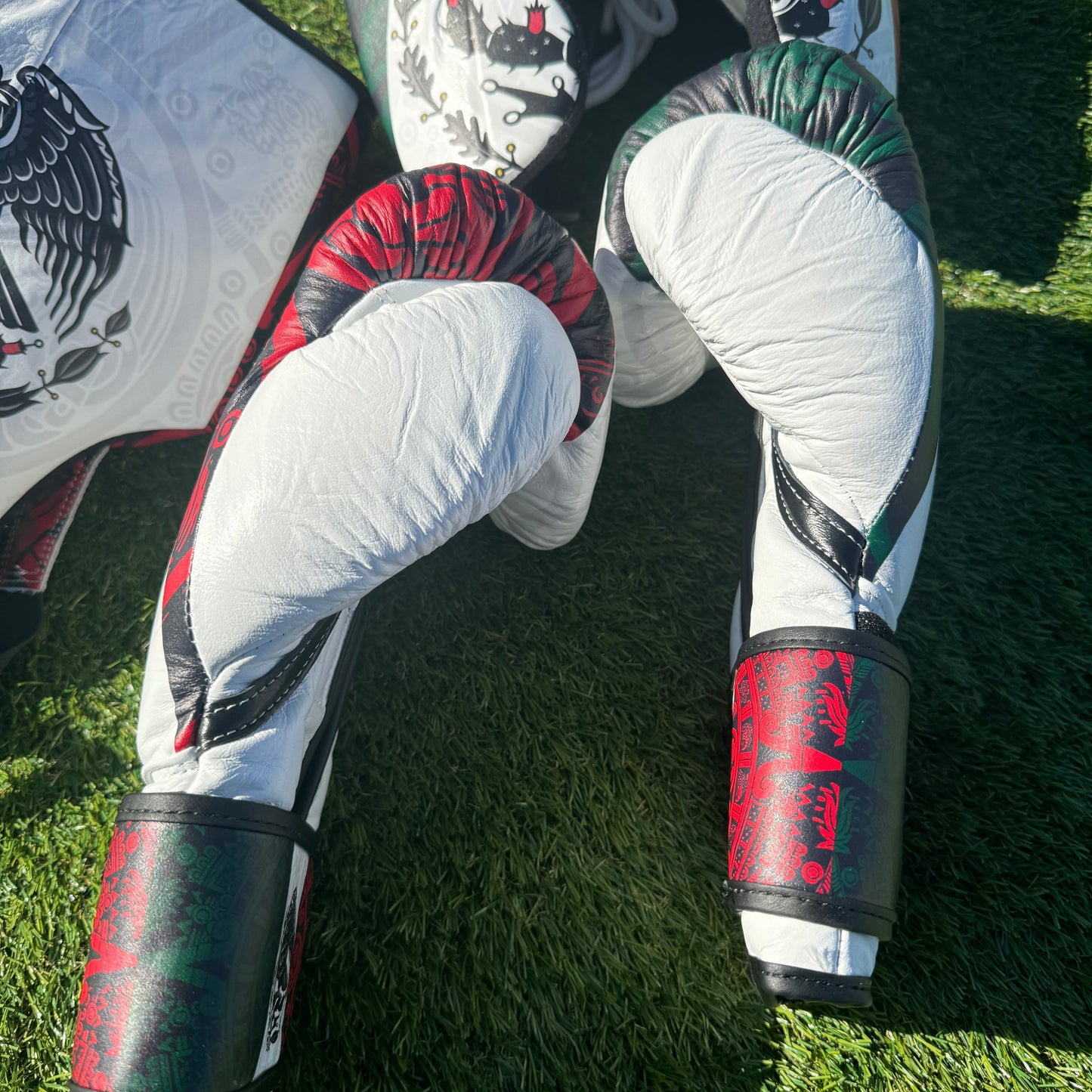 SPECIAL EDITION CUSTOM MEXICO | BOXING SPARRING SET | 100% LEATHER l