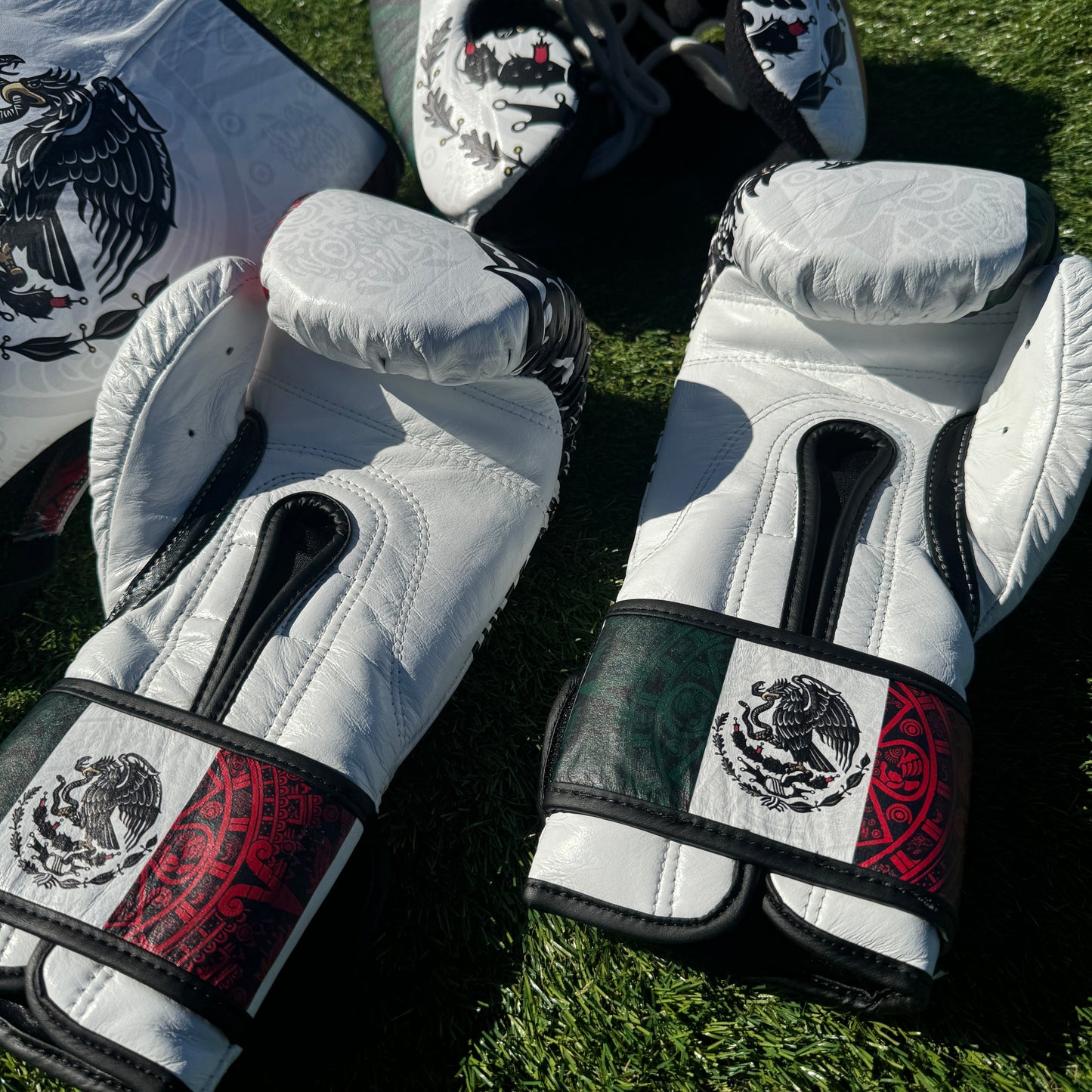 SPECIAL EDITION CUSTOM MEXICO | BOXING SPARRING SET | 100% LEATHER l