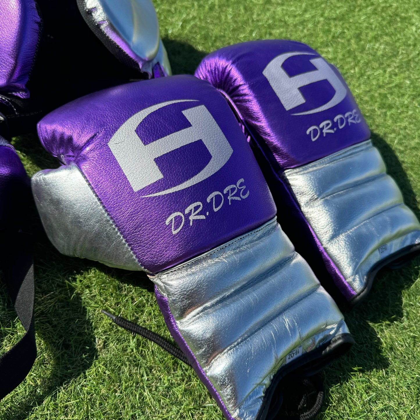 METALLIC PURPLE & SILVER | BOXING GLOVES & SPARRING SET | 100% LEATHER