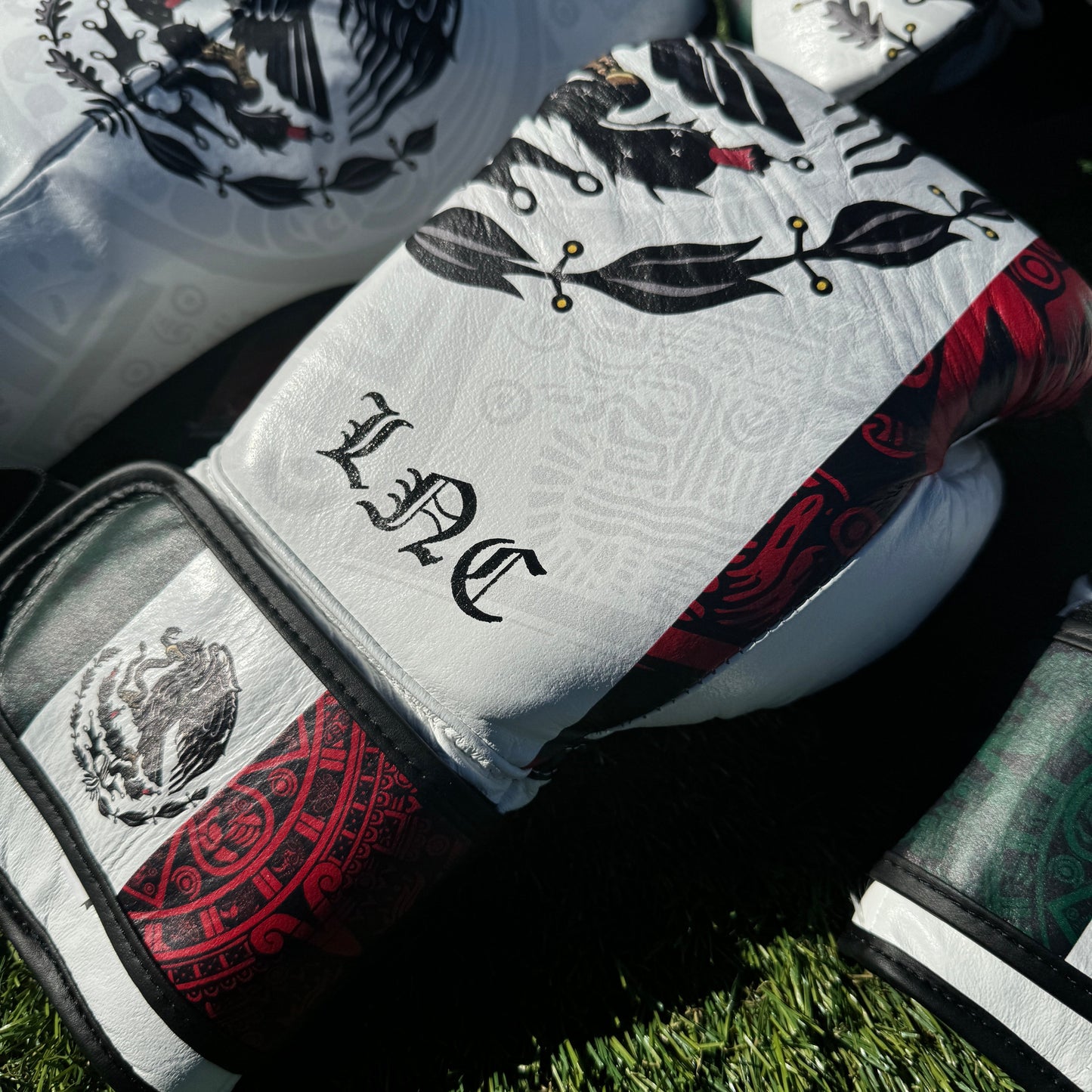 SPECIAL EDITION CUSTOM MEXICO | BOXING SPARRING SET | 100% LEATHER l