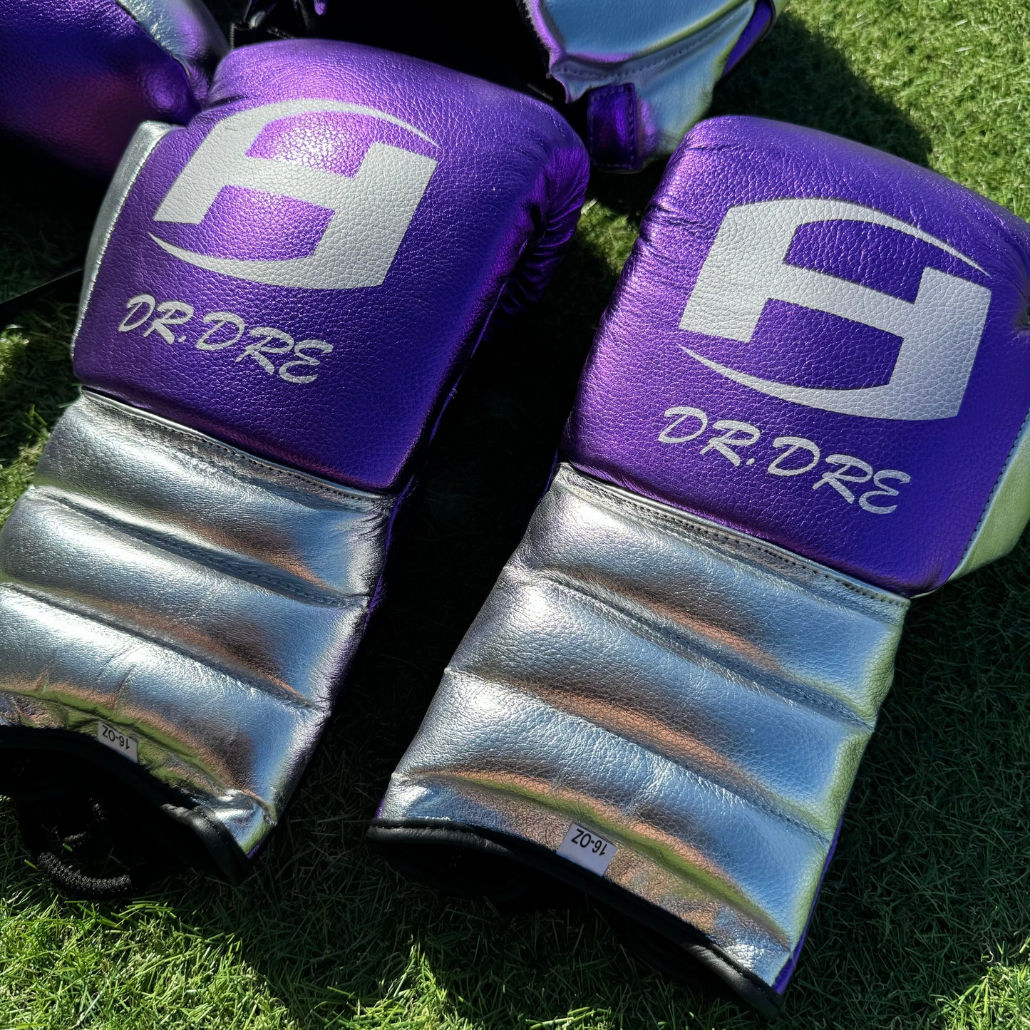METALLIC PURPLE & SILVER | BOXING GLOVES & SPARRING SET | 100% LEATHER